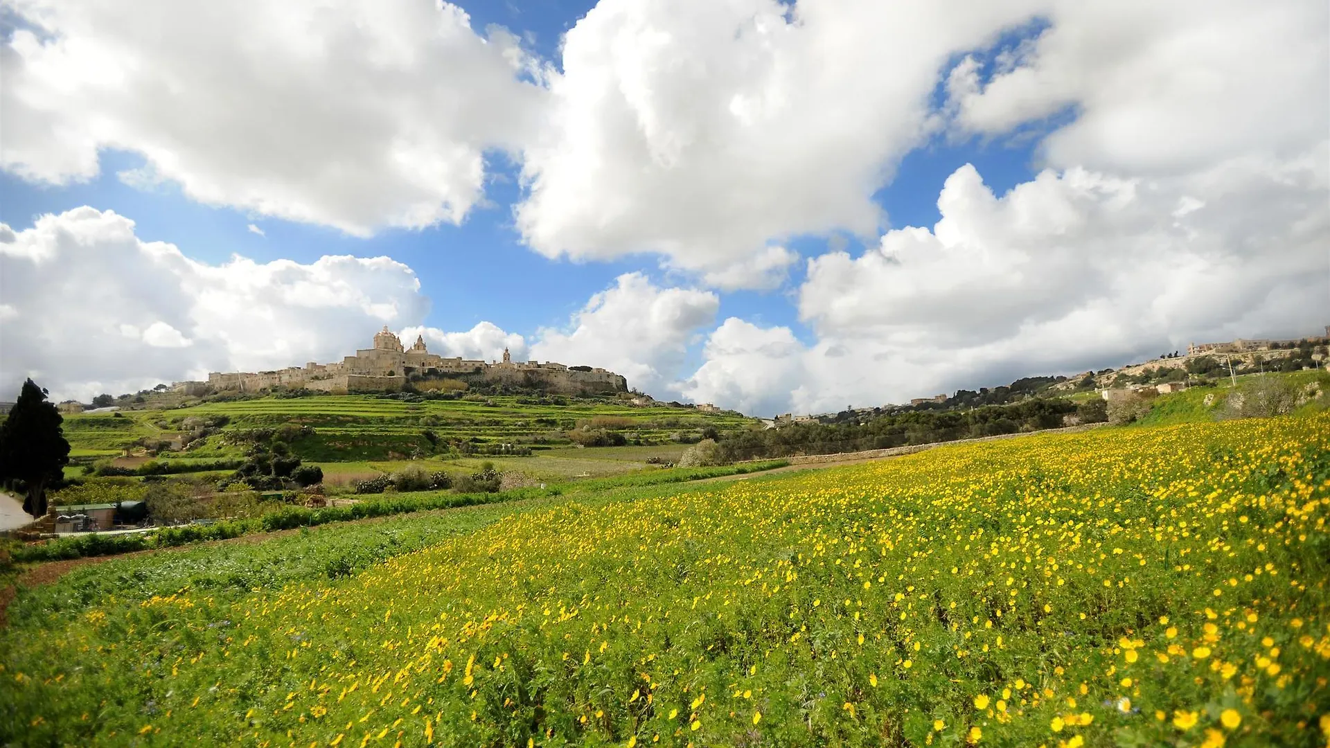 The Westin Dragonara Resort, Malta Saint Julian's Malta